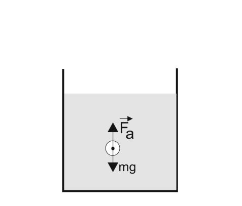 Гидростатика и гидродинамика